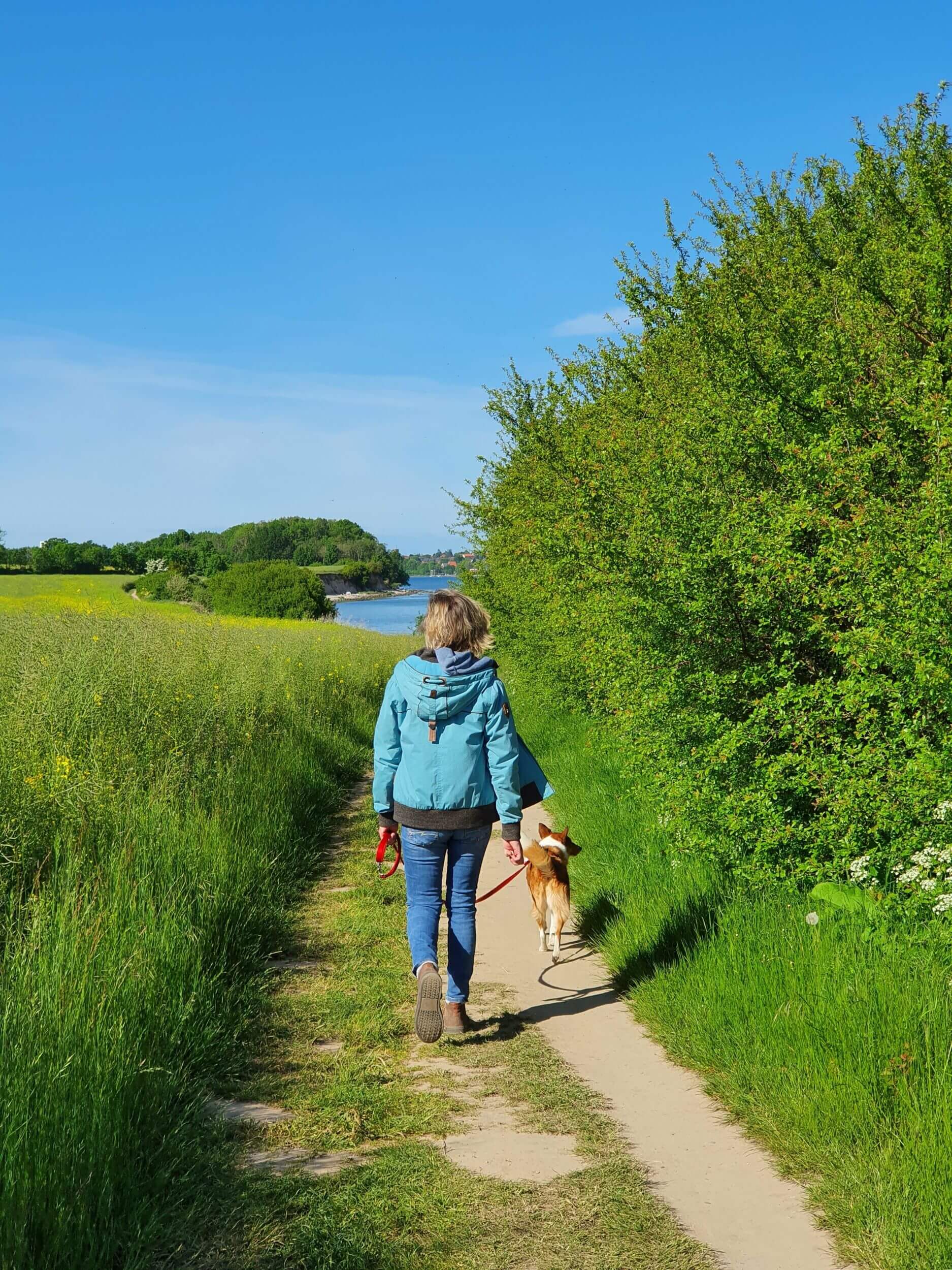 Frau führt Hund in der Natur spazieren