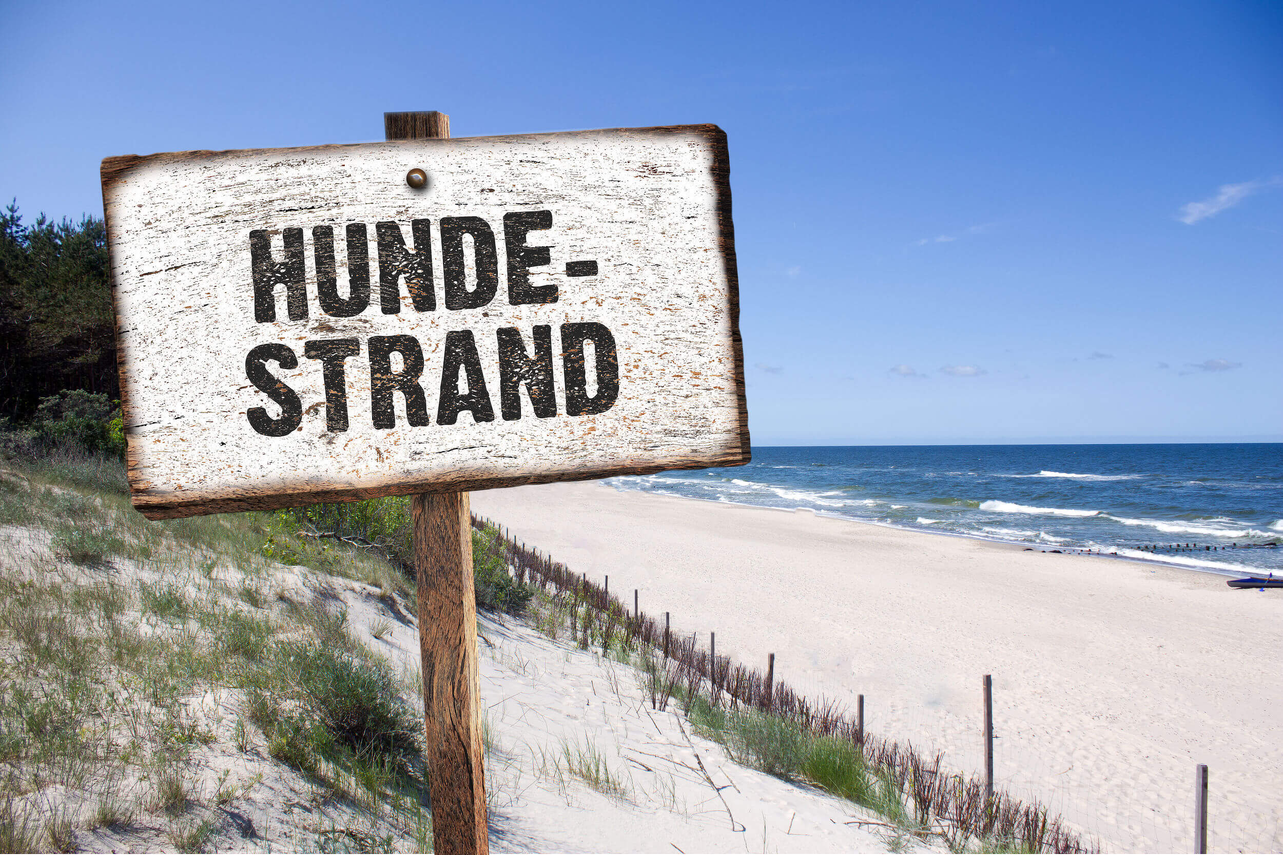 Schild zum Hundestrand